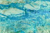 Polished Blue River Chrysocolla Slice - Arizona #167555-1